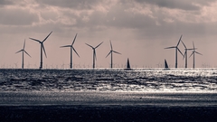 Vrtuľkové kráľovstvo