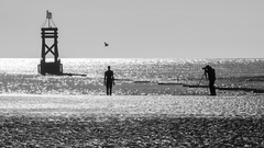 Pozor, vyletí vtáčik!