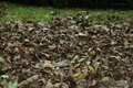 Beautiful autumn :)