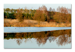 Na primrznutej promenáde