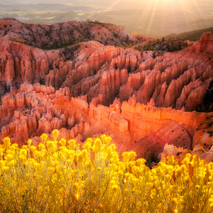 Bryce Canyon