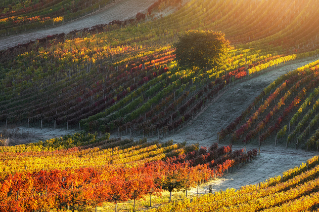 Farby jesene Južnej Moravy