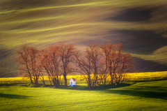 Moravské pohľady VI