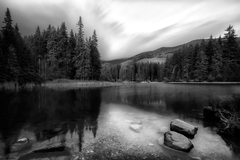 Vrbické pleso III