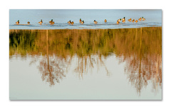 Na primrznutej promenáde III