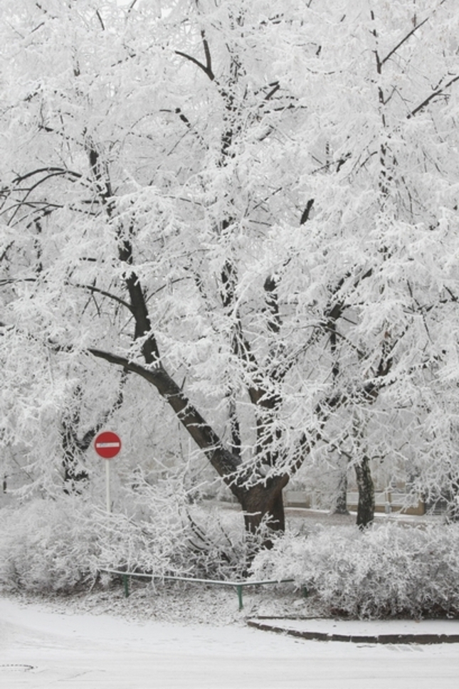- 5 'C