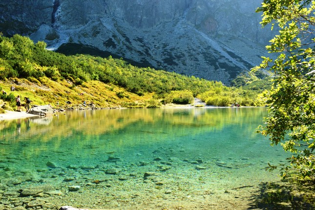 Zelene pleso