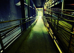 Half life :)
