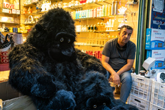 Vzdialení príbuzní