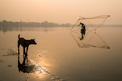 Rybacka II (s dozorom)