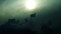 misty_day