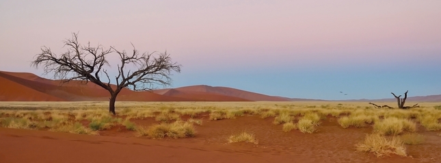 Namib