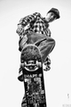 skate or die
