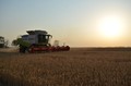 Podvečerná atmosféra