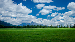 Windows XP TA3 edition