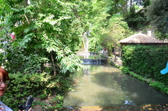 botanická záhrada