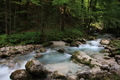 Hammersbach river 10