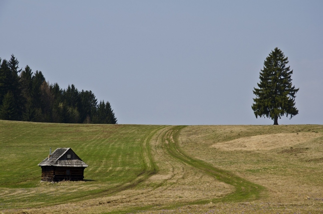 Rodná hruda