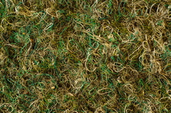 Jackson Pollock