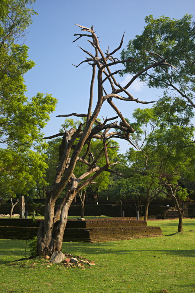 Polonnaruwa IV