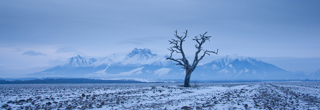 Tatry