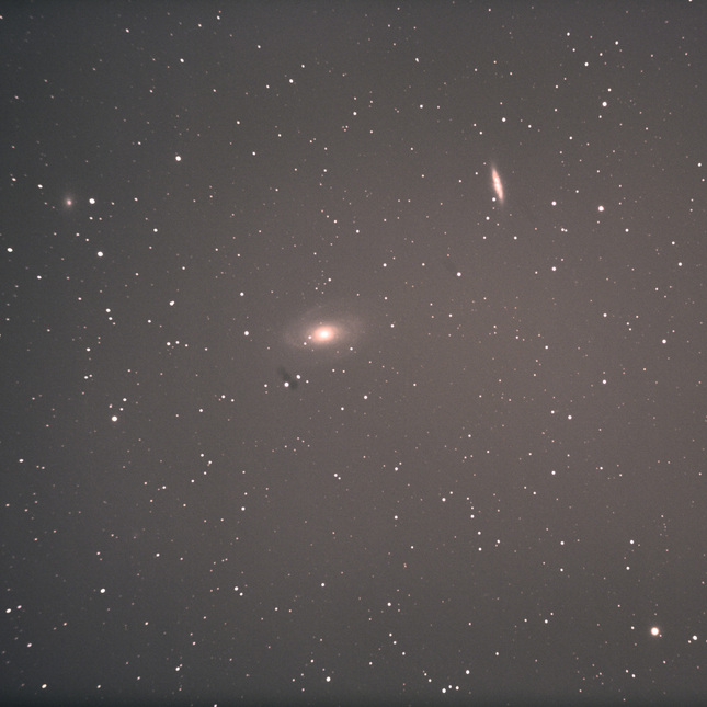 Astrofoto - galaxie M81 + M82