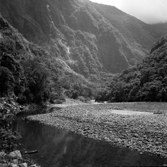 Selva (Peru)