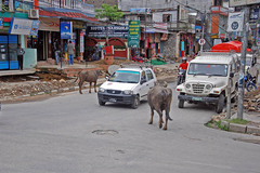 NEPAL_POKHARA_jazero028