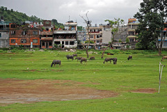 NEPAL_POKHARA_jazero011