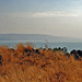 Genezaretské jazero