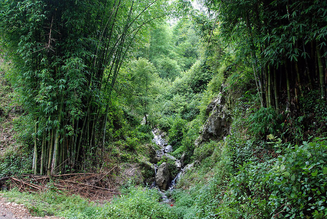 Nepal_Nagarkot_1_004