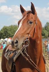 Top Deck Julies Snow