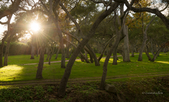 zahrada rajskych poteseni