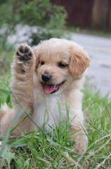 HighFive!