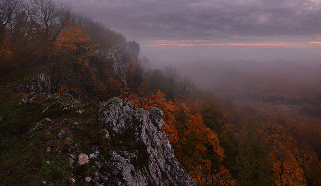 Prebúdzanie