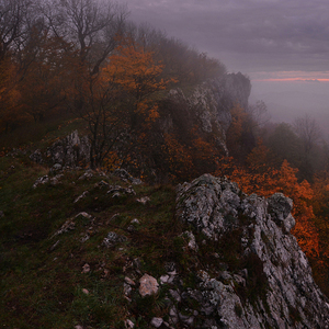 Prebúdzanie