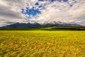 Tatry