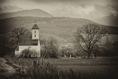 Pominovec
