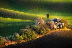 Moravské Toskánsko