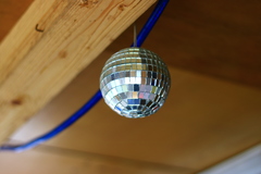 discogula