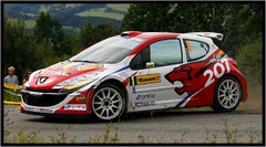 Barum rally 2008