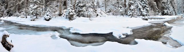 Winter White Creek