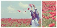 Flying poppy