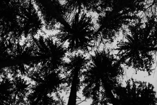 up there