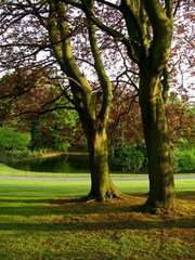 Pheonix Park