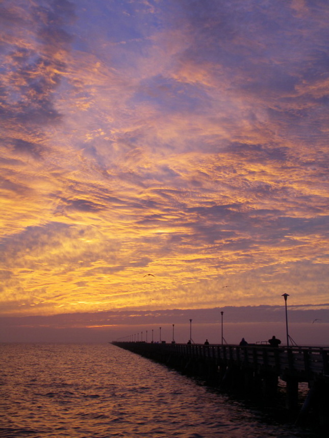 Berkeley Pier