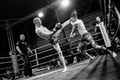 Muay Thai Evening IV