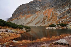 Rohacske pleso