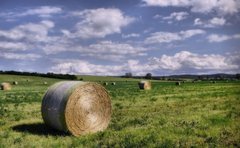 povinna letna jazda fotografa