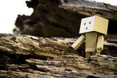Danbo v prírode